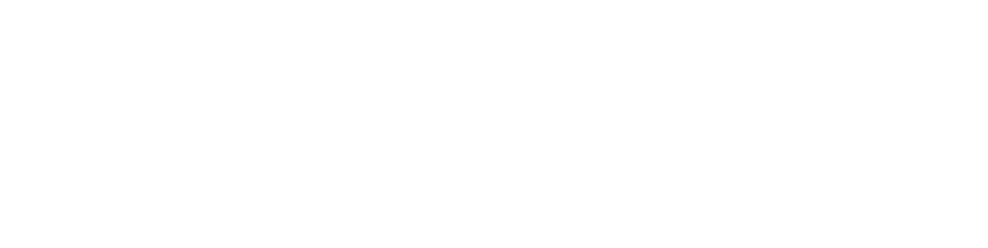 SEO Accelerators